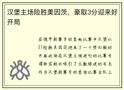 汉堡主场险胜美因茨，豪取3分迎来好开局