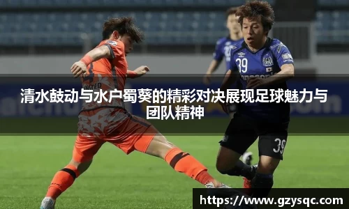 bsports必一体育